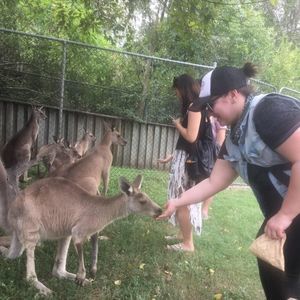 Meet your Posher, Kristen